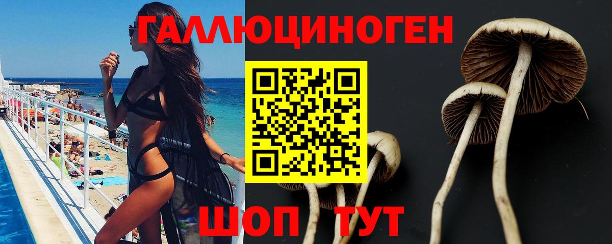 Псилоцибиновые грибы GOLDEN TEACHER Борзя